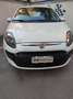 Fiat Punto Evo NATURAL POWER Bianco - thumbnail 1