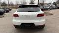 Porsche Macan S Diesel/Pano/Bi Xenon/Leder Weiß - thumbnail 4