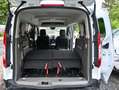 Ford Grand Tourneo *7Sitzer*19%MwSt*Spurhalteassistent*Acc* Weiß - thumbnail 6
