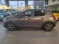 Citroen C3 III Highlight Grau - thumbnail 7