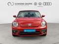 Volkswagen Beetle Cabrio 1.2 Sound Naranja - thumbnail 8