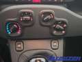 Fiat Panda 1.0 70PS Klima DAB Spurhalteass. Verkehrszeichener Wit - thumbnail 6