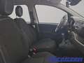 Fiat Panda 1.0 70PS Klima DAB Spurhalteass. Verkehrszeichener Wit - thumbnail 5
