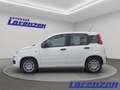 Fiat Panda 1.0 70PS Klima DAB Spurhalteass. Verkehrszeichener Wit - thumbnail 3