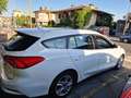 Ford Focus Focus V 2018 SW SW 1.5 ecoblue Business s Bianco - thumbnail 17