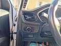 Ford Focus Focus V 2018 SW SW 1.5 ecoblue Business s Bianco - thumbnail 9
