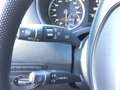 Mercedes-Benz Vito Tourer 116 CDI Pro Larga 9G-Tronic Grau - thumbnail 26