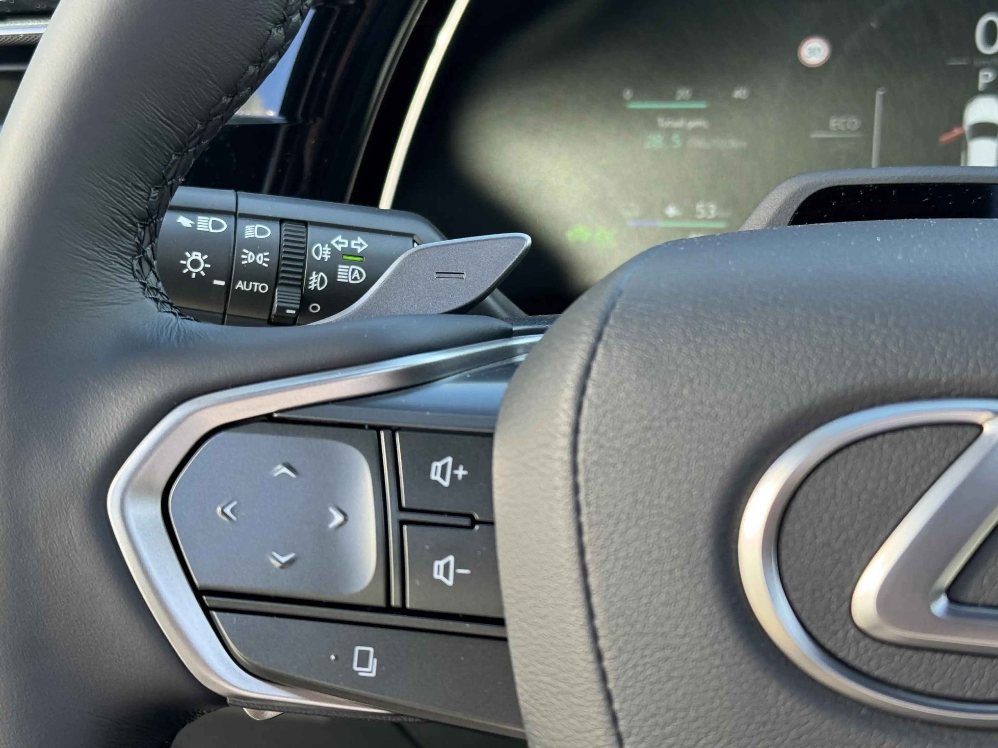Lexus RX 450h 450h+ Plug-in Hybrid President Line DIRECT LEVERBA — photo 22