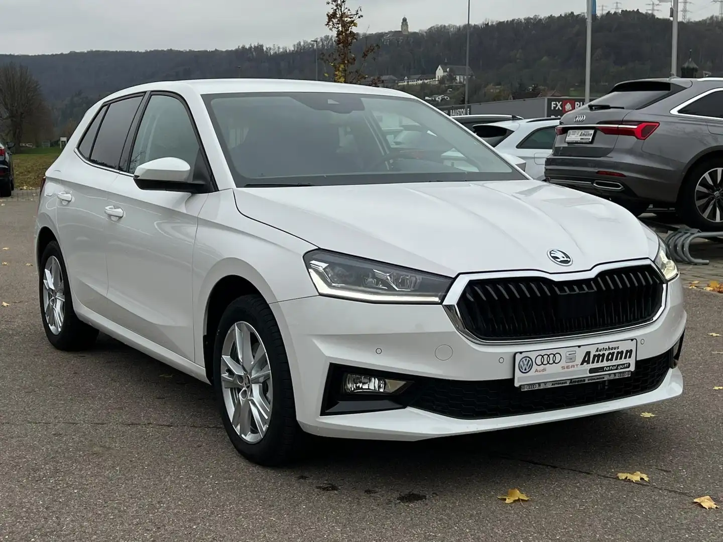 Skoda Fabia Selection 1.0 TSI DSG *5Jahre Garantie* Weiß - 1
