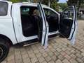 Ford Ranger Ranger Doppelkabine Wildtrak 4x4 2,0 EcoBlue Aut. Wildtrak Weiß - thumbnail 12