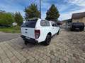 Ford Ranger Ranger Doppelkabine Wildtrak 4x4 2,0 EcoBlue Aut. Wildtrak Weiß - thumbnail 5