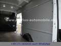 Ford Transit Kasten 350 L4H3 Klima / PDC+Kamera / SZH Blanc - thumbnail 21