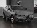 Alfa Romeo Tonale 1.6 diesel 130 CV TCT6 Sprint Grijs - thumbnail 15