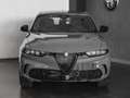 Alfa Romeo Tonale 1.6 diesel 130 CV TCT6 Sprint Grey - thumbnail 14