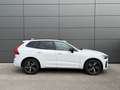 Volvo XC60 B4 R Design Geartronic Weiß - thumbnail 4