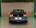 Ford Mustang Convertible 5.0 Ti-VCT GT Aut. Grau - thumbnail 13