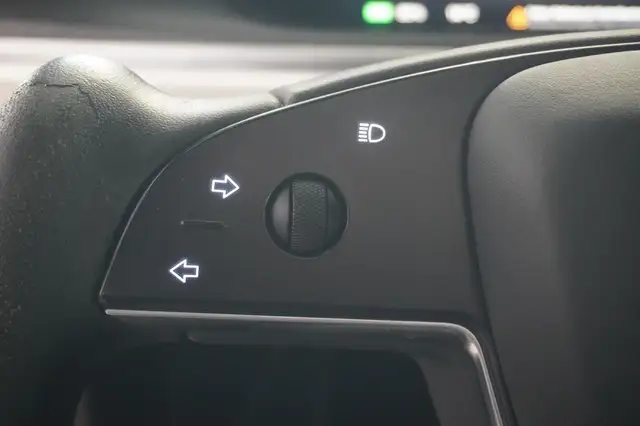 Tesla Model X Plaid AHV/1020PS/6Sitze Ansicht 14