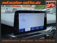 Ford Focus ST-Line LED+NAVI Fs+LenkradHzg Head-Up CAM Silber - thumbnail 20