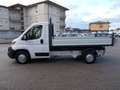Fiat Ducato 35 2.3 MJT 140CV PM Ribaltabile Blanc - thumbnail 9