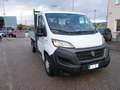 Fiat Ducato 35 2.3 MJT 140CV PM Ribaltabile Blanc - thumbnail 5