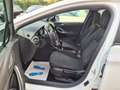 Opel Astra ST 1.5 Diesel 90kW Business Edition Weiß - thumbnail 9