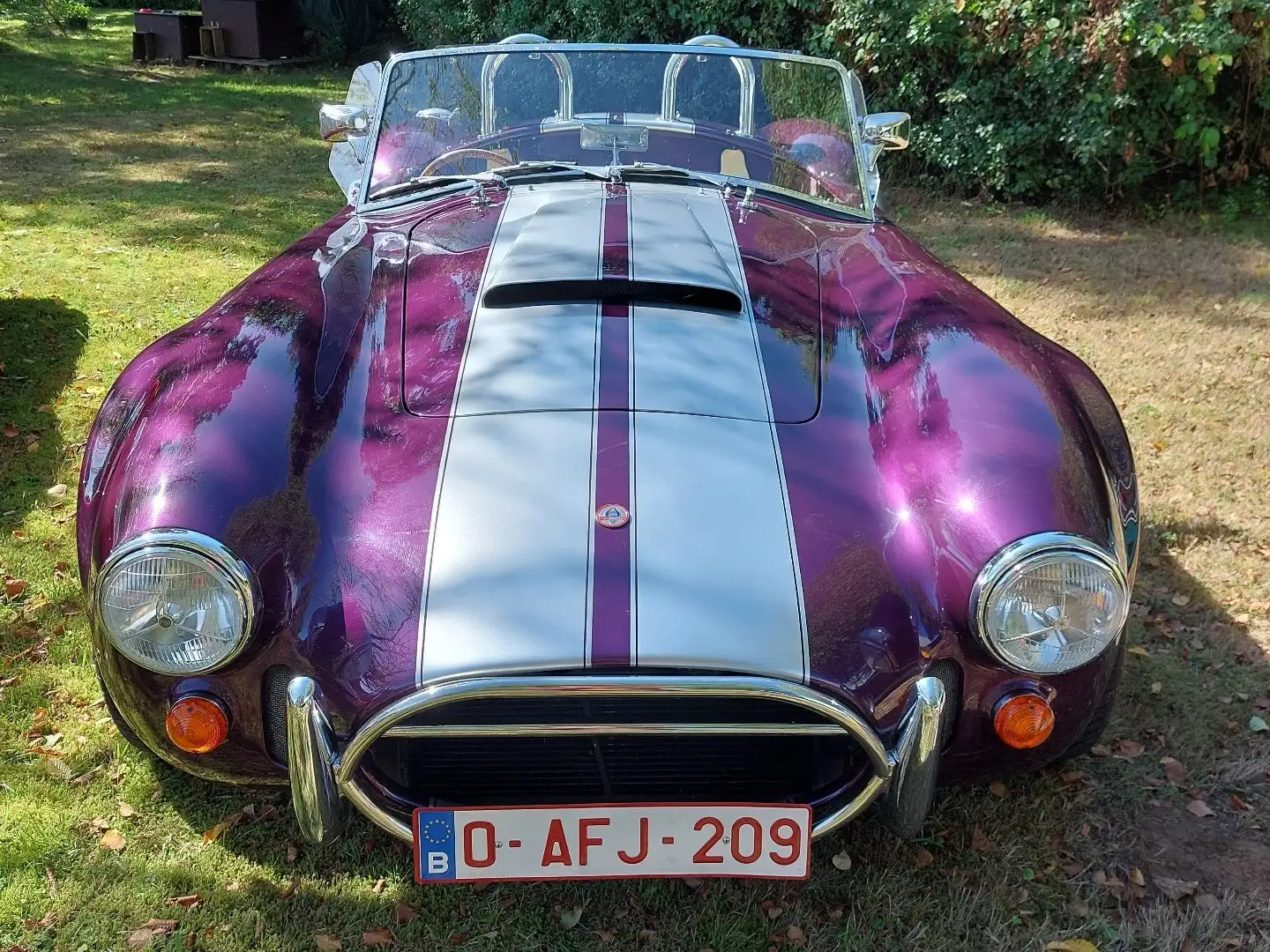 AC Cobra AK 427 Ford Cleveland 351 2v. RHD, CONDUITE ANGLAI - 2