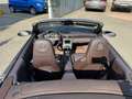 Porsche 911 911 Cabrio 3.8 Carrera 4S Gris - thumbnail 19