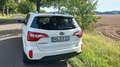 Kia Sorento 2.2 CRDi AWD Aut. Platinum Edition - thumbnail 13