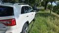 Kia Sorento 2.2 CRDi AWD Aut. Platinum Edition - thumbnail 12