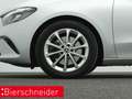 Mercedes-Benz B 220 d KAMERA SHZ Argent - thumbnail 28