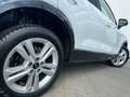 Audi Q2 DSG NAVI/APP~PANO~SHZ~VIRTUALL~RKam~eHeKl~LED Weiß - thumbnail 14