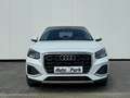Audi Q2 DSG NAVI/APP~PANO~SHZ~VIRTUALL~RKam~eHeKl~LED Weiß - thumbnail 5