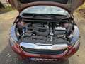 Peugeot 108 108 5-Türer VTI 72  TOP! Collection Rot - thumbnail 9