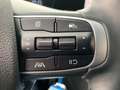 Kia Sportage 1,6 TGDI 48V Silber DCT Grün - thumbnail 17
