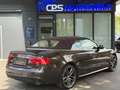 Audi A5 Cabriolet 3.0 TDI Quattro | 8 Fachbereift | Braun - thumbnail 7