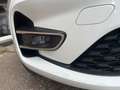 Renault ZOE 50 Experience R110+Garantie+CCS !NEUWERTIG! Weiß - thumbnail 25