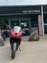 Triumph Daytona 650 (garantie 24 mois) Rood - thumbnail 5