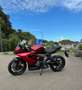 Triumph Daytona 650 (garantie 24 mois) Rood - thumbnail 4