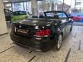 BMW 118 118 d Cabrio*M-Sportpaket*Leder*Navi*Xenon* Schwarz - thumbnail 13