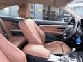 BMW 435 Baureihe 435d xDrive*Harman Kardon*TOP* Gris - thumbnail 18