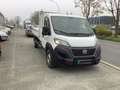 Fiat Ducato FIAT DUCATO BENNE 180CV BVM6 PRO LOUNG Blanc - thumbnail 1