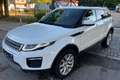 Land Rover Range Rover Evoque SE Panoramadach Blanc - thumbnail 10