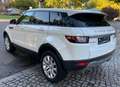 Land Rover Range Rover Evoque SE Panoramadach Blanc - thumbnail 11