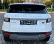 Land Rover Range Rover Evoque SE Panoramadach Blanc - thumbnail 8