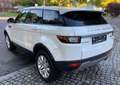Land Rover Range Rover Evoque SE Panoramadach Blanc - thumbnail 4