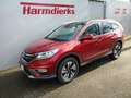 Honda CR-V 2.0i-VTEC 4WD Automatik Executive Rot - thumbnail 1