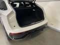 Audi Q5 Sportback 40 2.0 tdi mhev 12V S line quattro TETTO Blanc - thumbnail 4
