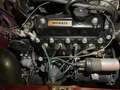 Innocenti Mini Braun - thumbnail 5