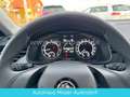 Skoda Kamiq Active AHK/LANE/TEMPO/LED Grau - thumbnail 12