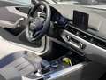 Audi A4 Avant 35 2.0 OLIO CAMBIO FATTO! TAGLIANDI AUDI! Bianco - thumbnail 14